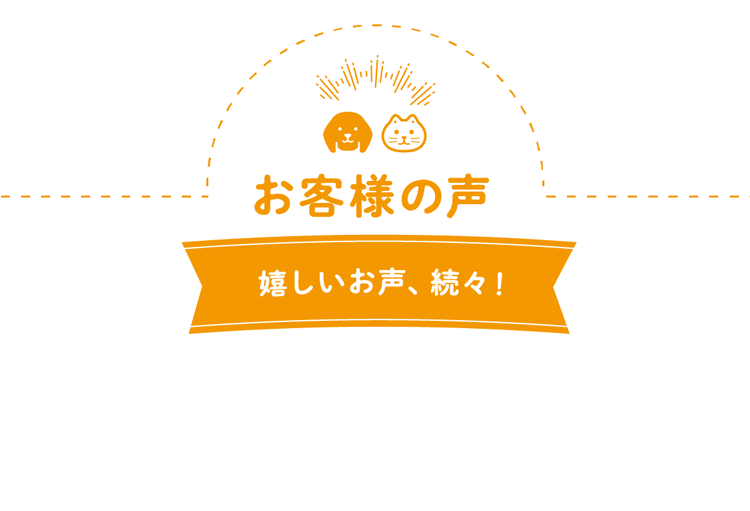 お客様の声 嬉しいお声、続々!