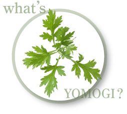 ヨモギについて